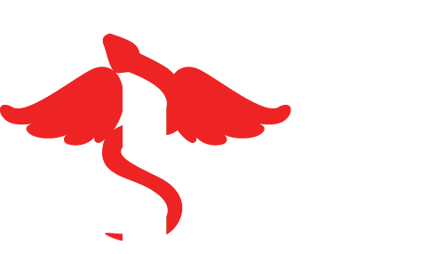 Caring-developpement-logo-blanc